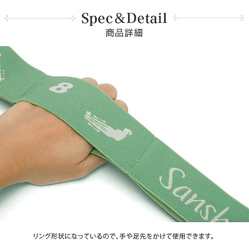 Sansha ストレッチループバンド 91AH0001