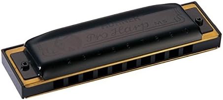 Hohner Pro Harp 562/20AX Harmonica, Matte Black