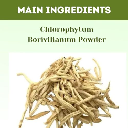 Image of Herbal Hills Safed Musli Powder 1 kg Single Pack