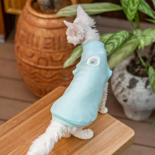 Débardeur sans Manches pour Chaton sans Poils Protège Peau Chat Sphynx - 8
