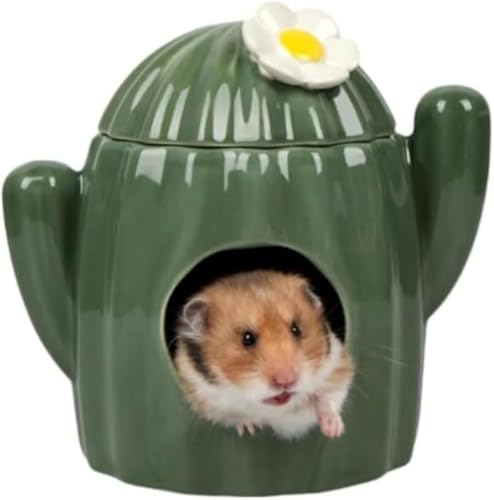 XiraivkeT{e`̓nX^[lXgZbgbHtArz_[ڂŗKA\ȉ˔̋ꏊ?