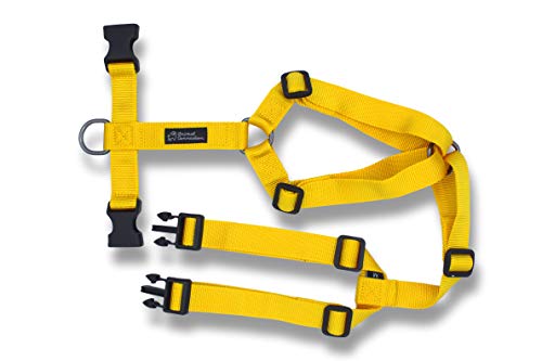 CAPPELLO CUOCO | BISCOTTO | TAGLIA UNICA | REGOLAZIONE CON VELCRO Isacco 075015 - Foto 7