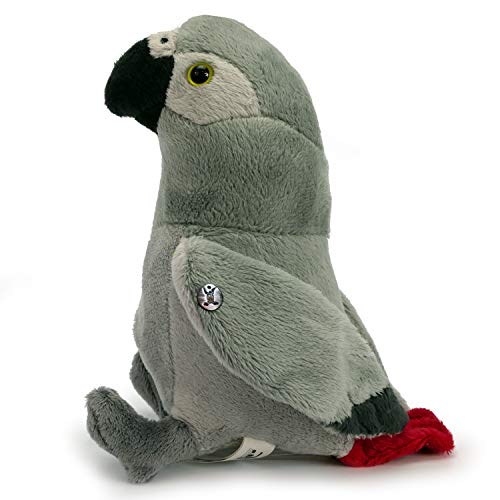 Kuscheltiere.biz Doudou perroquet gris en peluche perroquet démangeaisons