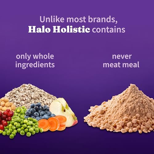 Image of Halo Holistic Dry Dog Food, Vegan Plant-Based Recipe, Superfoods, 21 lb