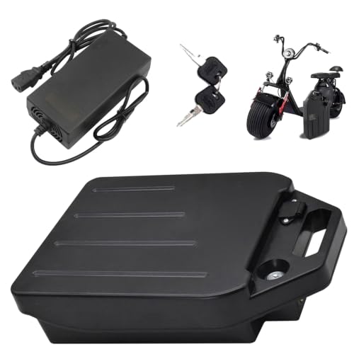 ZXLLAFT Batería para Bicicleta eléctrica Fat Tire 48V 60V Batería de Litio Baterías para Scooters Fat Tire Baterías Recargables con BMS, Cargador y Puerto Caracteres de 3 Pines,48v25ah