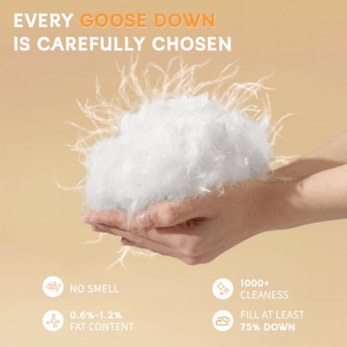 Shilucheng Goose Feather Down Comforter King Size, 100% Cotton Cover - image 2