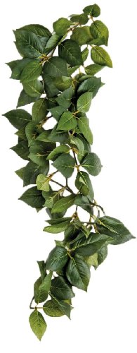 Komodo Sumatra Hängende Rebe 23 cm