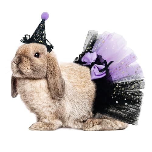 ShuRung Small Animal Halloween Witch Costume - Guinea Pig & Bunny Witch's Hat & Black Tutu Skirt