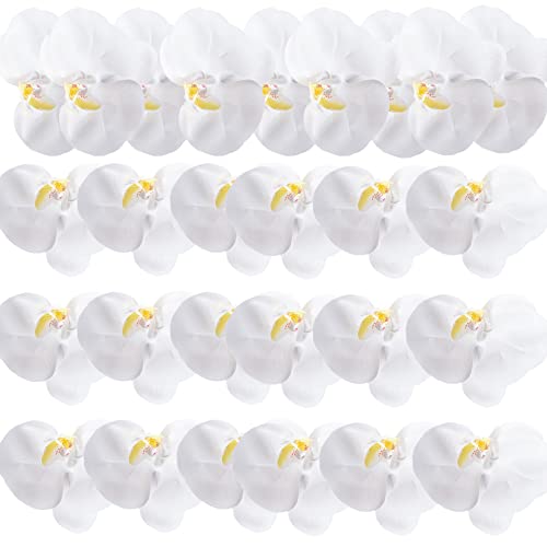 HinyoCo 24 Pcs Orchid Decorations Real Touch PU Artificial Flowers Orchid Heads Fake Phalaenopsis Flower Heads for DIY Craft Home Wedding Decoration