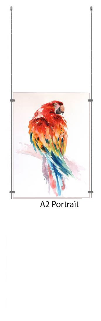 A2 Portrait Wire Cable Display Acrylic Poster Holder Retail Shop Window Signs Display Panels (1 Pocket)