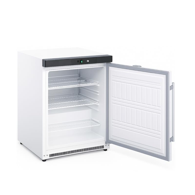 Générique Armoire Réfrigérée Positive 200 Litres - 1 Porte