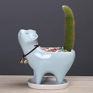 QYCX Plant Pot Mini Ceramic Succulent Plant Pots Cat Shaped Succulent Planter Pot Succulent Planter Mini Cactus Flower Container Animal Bonsai Holder Plant Container Garden Cactus Plant Pot