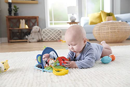 Fisher-Price HFJ92 - Geschenkset Sinne Entdecken, Spielset mit Aktivitätsspielzeugen Babyspielzeug, ab 3 Monaten – Bild 3