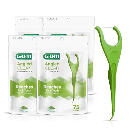 Image of GUM Angled Clean Dental Floss Picks, Fresh Mint Flossers, 75 Count (4 Pack)