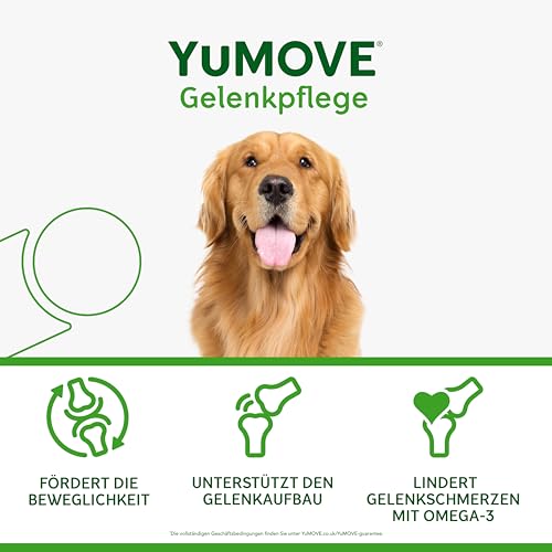 YuMOVE Grünlippmuschel Hund - 120 Tabletten - Gelenktabletten Hund - Beweglichkeit und Gelenkfunktion - Gelenktabletten für Erwachsene Hunde - Mit Aktiv Omega-3, Glucosamin und Hyaluronsäure