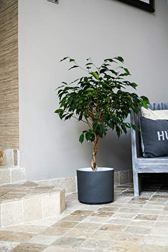 Ivyline Leon Granite Planter D22Cm, One Size, 99422LG