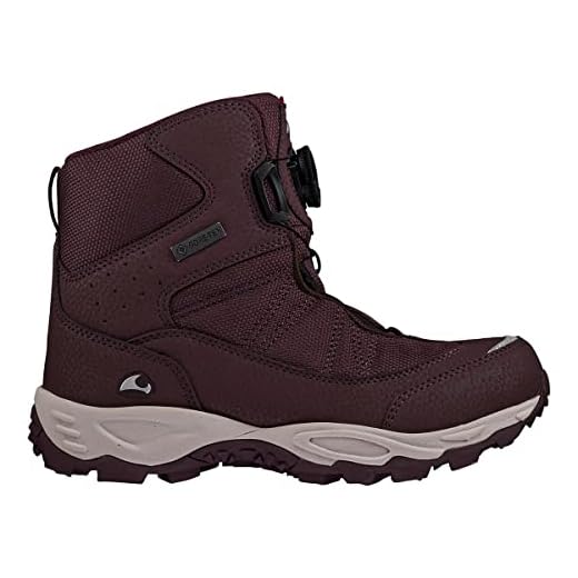 Viking Bj​o​r​k​ Hi​g​h​ GTX BOA Wa​r​m​, Botas de Nieve, Unisex niños, Grape, 32 EU