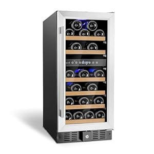 15” Wine Fridge, Dual Zone Wine Cooler Refrigerator Freestanding, 31 Bottles Wine Cooler Under Counter with Stainless Steel Door, Quiet Wine Cellar For Home Office and Kitchen