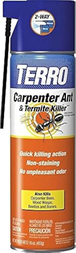 TERRO 16 oz. Carpenter Ant & Termite Killer Aerosol Spray