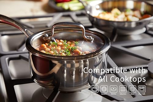 Image of 1.3 Quart Stainless Steel Saucepan with Glass Lid