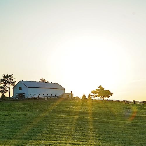 The Feast Podcast cover art