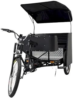 High-Performance Electric Pedicab Rickshaw Tricycle for Five, Stylish Black Color, Dual Riding Modes, Strong Frame, Ideal for Eco-Friendly Transportation!