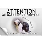 Stick Attention au chien bobtail