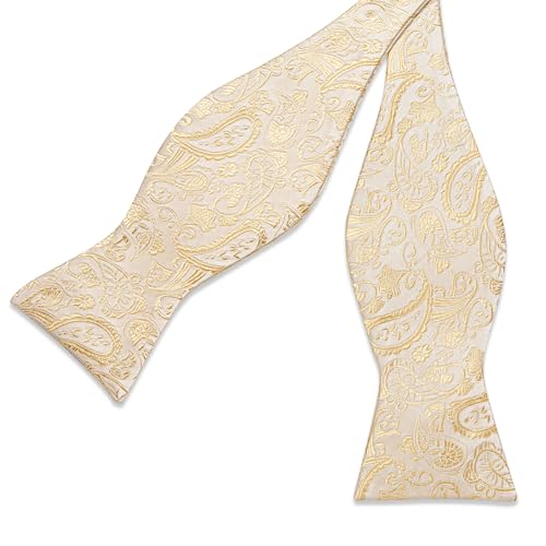Image of DiBanGu Paisley Bow Ties for Men Silk Self Tied Bowtie and Pocket Square Cufflinks with Lapel Pin for Wedding Party