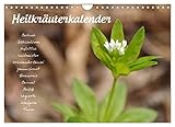 HeilkräuterkalenderAT-Version (Wandkalender 2023 DIN A4 quer), Calvendo Monatskalender - Use Your Spirit 