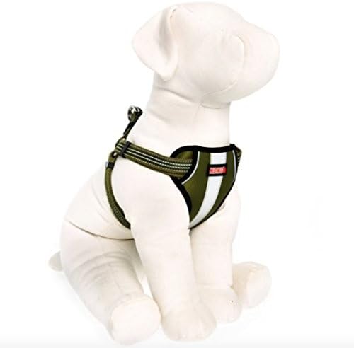 kong padded harness