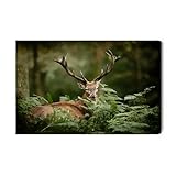 Generisch Lienzo decorativo de ciervo del bosque – Moderna decoración de pared e impresión artística | Cuadros de pared para salón, dormitorio, cocina o pasillo | cuadros XXL sobre lienzo fotográfico