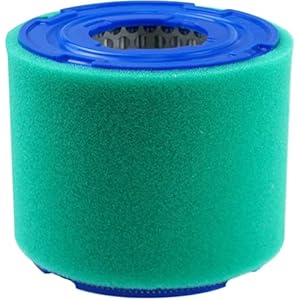 393957 & 271794 270782 Pre -filter vervangen voor 390930 393957 393957S 4106 24519 Compatibel met ariens 02451900 LG393957 LG393957S PT4301 PT9334 Lesco 006538 Lawn.