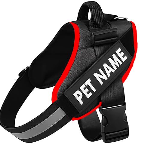 DAGGERS Premium Customized Vest Harness Belt Adjustable with Pet Name OR Date of Birth Personalized Dog Belt, No Pull Harness Reflective. Best for 23Kg -36Kg Dogs. (Large, Color- Black)