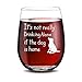 It's not really drinking alone if the dog is home stemless wine glass, 15 oz Perfect gifts for Women Men