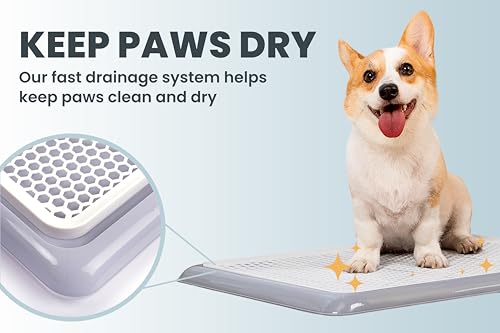 Pet Awesome Dog Potty Tray/Puppy Pee Pad Holder 25 Inchx20 Inch Indoor Wee Training For Small And Medium Dogs thumb #5