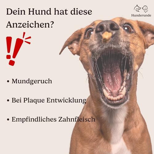 Hunderunde – Futtertopping Zahn & Maul 250g – natürliche Maulhygiene & frischer Atem I Algen Kräuter Petersilie Pfefferminze Thymian Anis