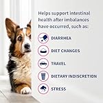 Nutramax Proviable Probiotics for Dogs, Daily Digestive Health Supplement with Multiple Strains of Bacteria, Dog Probiotics Plus Prebiotics, 60 Chewable Tablets - Image 5