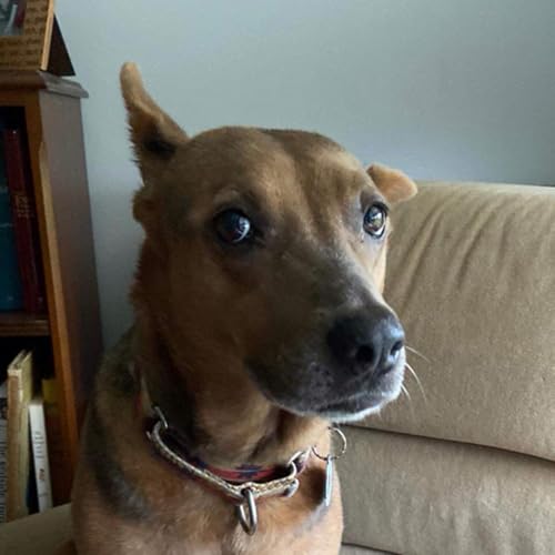 Hype Up Mondays cover art