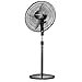 LP Fans Ventilatore A Piedistallo, Altezza Regolabile 18"Ventilatore Piedistallo Oscillante 3 velocità del Vento, 4 Pale, per Casa E Ufficio (Nero)