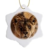 3dRose Lioness on The Prowl 3 inch Snowflake Porcelain Ornament