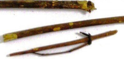 ShubhBhakti - Chirayata - Swertia chirata โ Chiretta -50 Gram