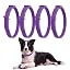 Purple 1