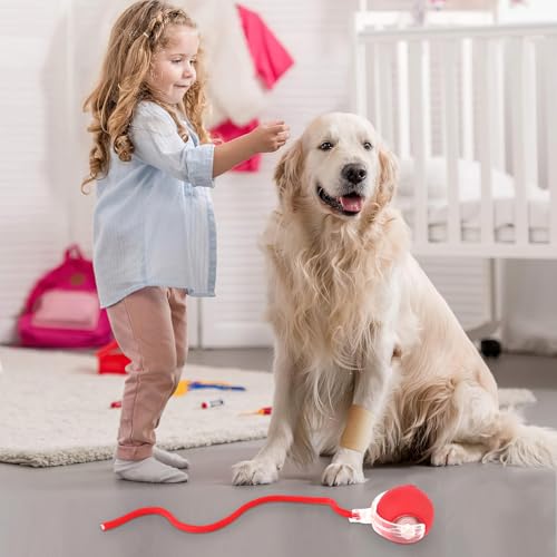 Farerkass Interaktives Hundespielzeug Ball, Katzenspielzeug, Elektrischer Hundeball Spielzeug, 360° Smart Rolling Pet Ball für Katzen und Welpe (Rot)