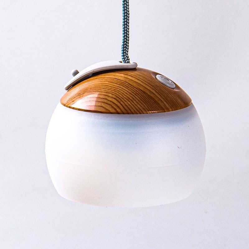 Portable LED Camping Lamp, USB Rechargeable, 3 Brightness Levels, Warm/Cool White Light, 10-12 Hour Battery Life, Hook Design, Camping Present (White)