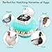 Incubator for Hatching Eggs, Automatic Egg Turner and Humidity Control, Holds 22 Eggs, 360° View, Built-in Egg Candler for Chicken, Duck, Quail,Goose,Pigeon