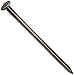 HILLMAN FASTENERS 461366 4" 20D Bright Common Nail