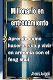 millonario en entrenamiento: aprende cómo hacerte rico y vivir em harmonia con el feng shui