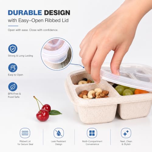 Image of 4 Compartment Snack Box Pack of 4 | Reusable Bento Lunch Box with Divided Sections | Meal Prep Food Storage Containers for Kids & Adults | School, Office, Travel & Picnic