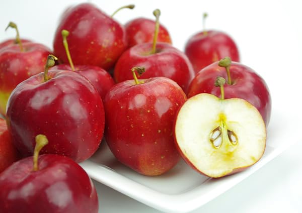 Amazon.co.jp: りんご『アルプス乙女』（ミニリンゴ）接ぎ木