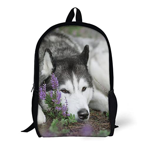 Mochila escolar niños Husky de 17 pulgadas para evitar dolor de espalda 5